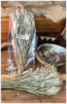Native American Herbs - Sage